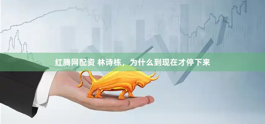 红腾网配资 林诗栋，为什么到现在才停下来